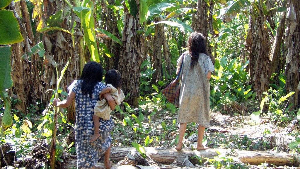 Weibliche Mitglieder des Tsimane-Stammes. Laut Forschungsergebnissen sind die Arterien von Amazonas-Ureinwohnern in Bolivien gesünder als bei allen anderen bislang gemessenen Menschengruppen. (Archiv)