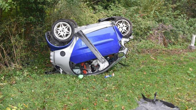 Smart-Fahrer wegen Tier verunfallt