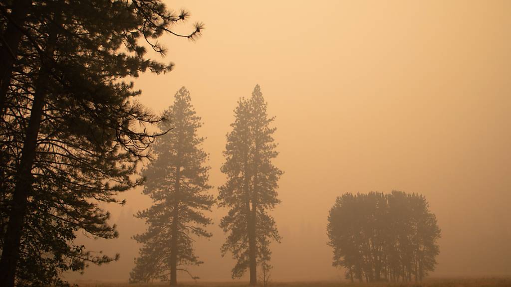 Dichter Rauch zieht über das Yosemite Valley. Der Nationalpark wurde vorübergehend aufgrund der schlechten Luftqualität geschlossen. Foto: Chuck Bennett/AP/dpa - ACHTUNG: Nur zur redaktionellen Verwendung im Zusammenhang mit der aktuellen Berichterstattung und nur mit vollständiger Nennung des vorstehenden Credits