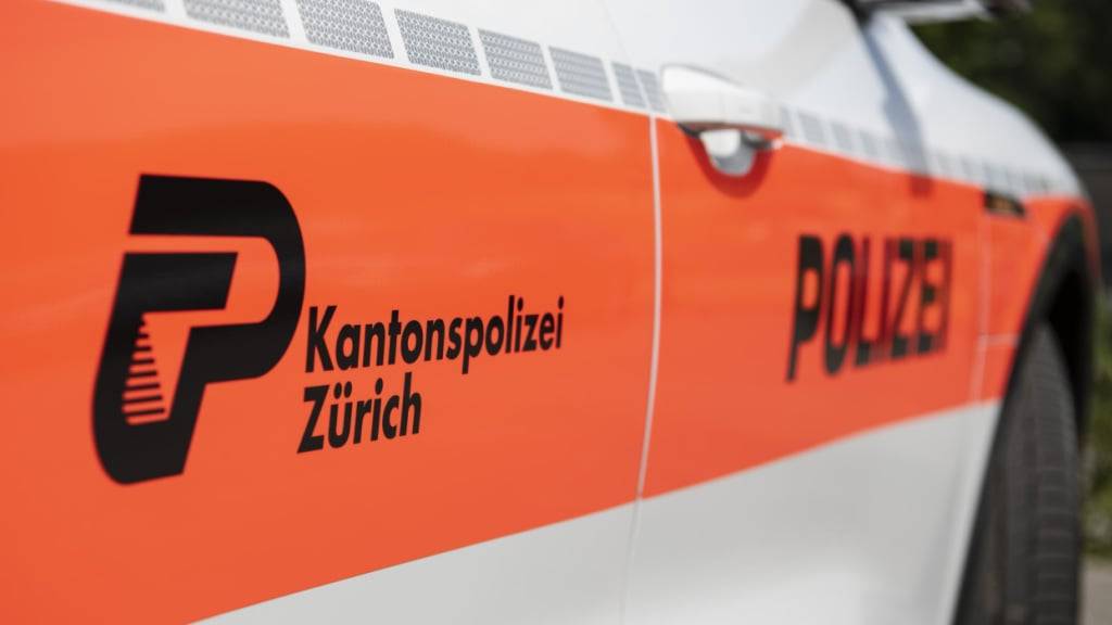 Die Zürche Kantonspolizei verhaftete am Montag einen mutmasslichen Dealer in einer Notunterkunft. Der 31-Jährige hatte am Vortag einen Diebstahl gemeldet. (Symbolbild)