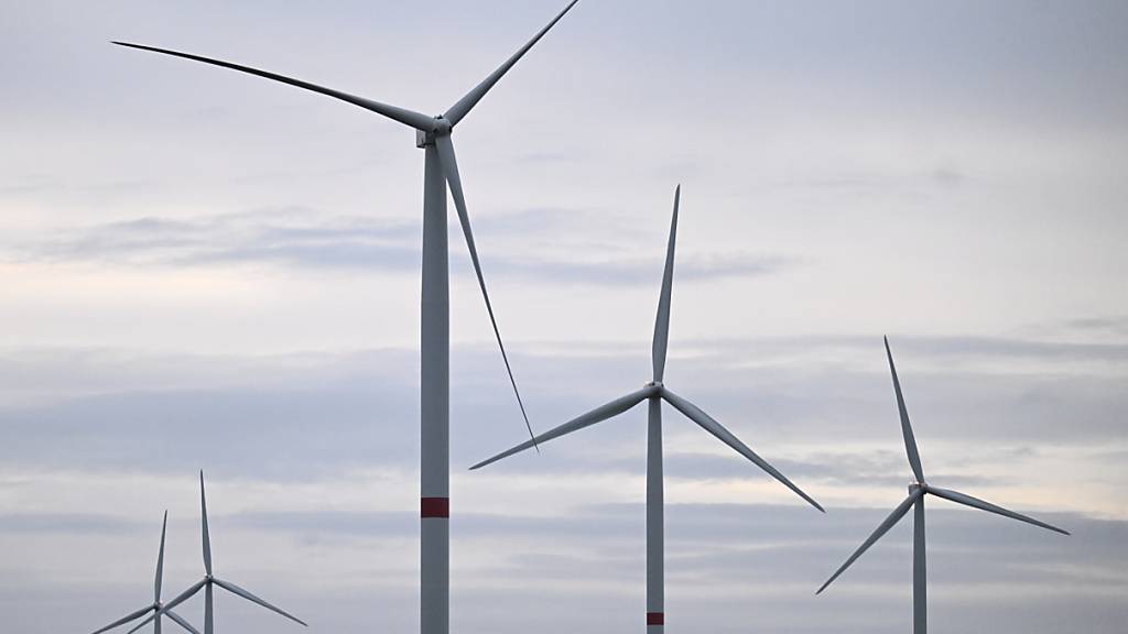 Einer Studie zufolge sind 69 Prozent der Weltbevölkerung nach eigenen Angaben bereit, jeden Monat ein Prozent ihres Haushaltseinkommens für Klimaschutz auszugeben. (Symbolbild)