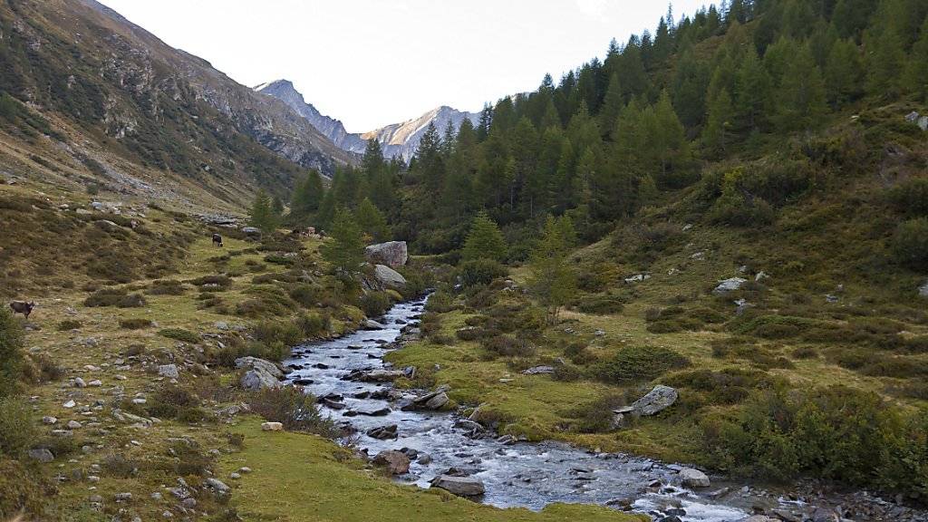 Auf dem Gebiet von Graubünden und dem Tessin soll der Parc Adula entstehen. Am Mittwoch gab die Tessiner Kantonsregierung bekannt, das Projekt finanziell unterstützen zu wollen. (Archivbild)