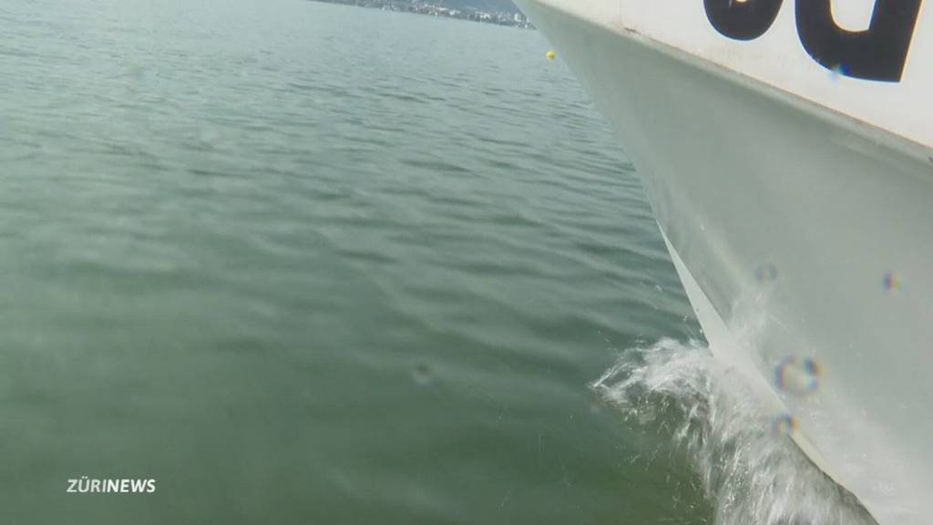 Tempo 40 für Boote auf dem Zürichsee