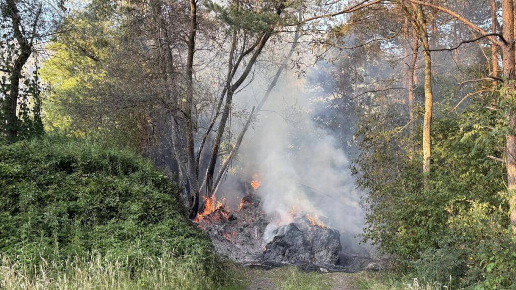 Gründeponie im Wald entzündet sich selbst in Sevelen SG