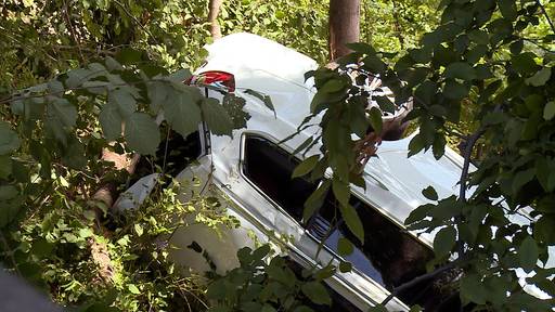 Auto stürzt in Uster in Tobel: 62-jähriger Lenker tot
