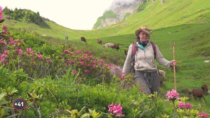 Alpsommer – Martina und ihre Ziegen (WHD)