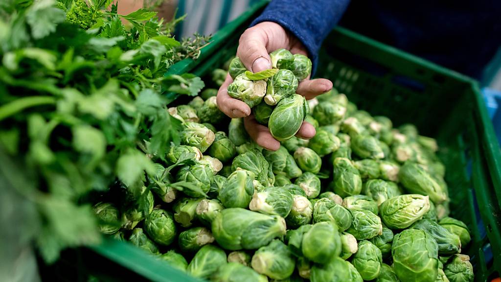 Ein Verkäufer greift an einem Obst- und Gemüsestand auf einem deutschen Wochenmarkt in eine Kiste mit Rosenkohl. Das BIP in der Eurozone hat im ersten Quartal nach einem Rückgang Ende 2022 stagniert, darum ist die Währungsgemeinschaft an einer Rezession vorbeigeschrammt. (Archivbild)