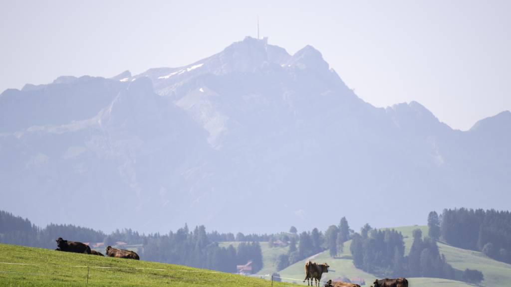 Rund jede zweite Person in der Schweiz hat schon einmal etwas über PFAS-Chemikalien gehört. Die Aufnahme über Nahrungsmittel wird im Vergleich zu belasteten Böden und Grundwasser laut einer Befragung aber kaum wahrgenommen. (Archivbild)