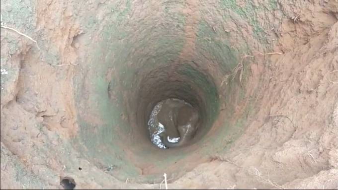 Lange Rettungsaktion: Baby-Elefant fällt in neun Meter tiefes Loch