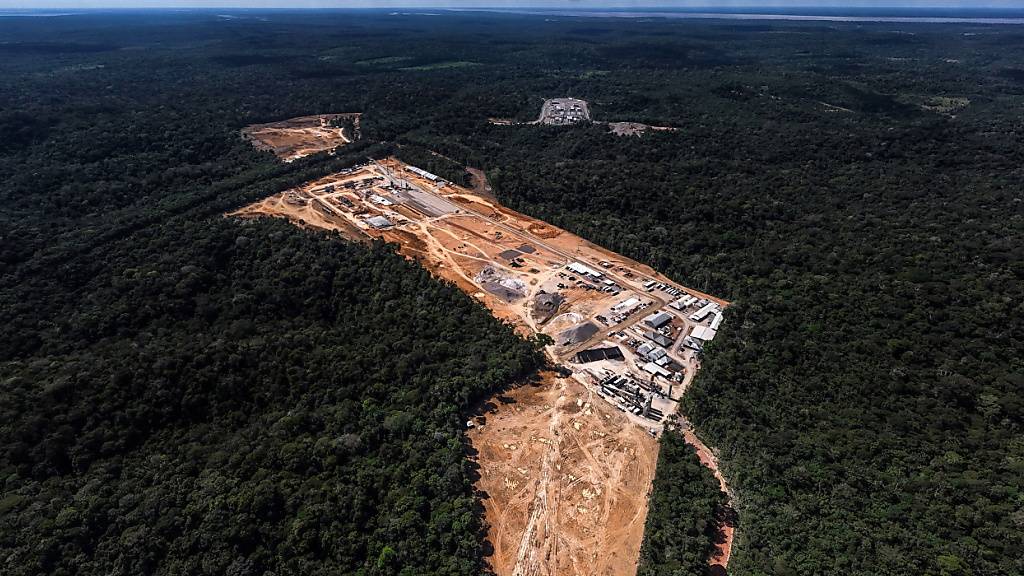 In Brasiliens Amazonasgebiet ist nach Regierungsangaben zuletzt so wenig Fläche abgeholzt worden wie seit neun Jahren nicht mehr. (Archivbild)