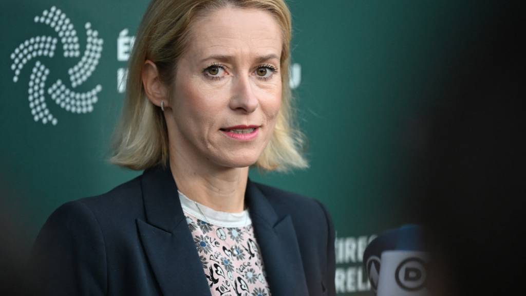 Ukraine erhält bei EU-Treffen Zusagen für Luftverteidigung