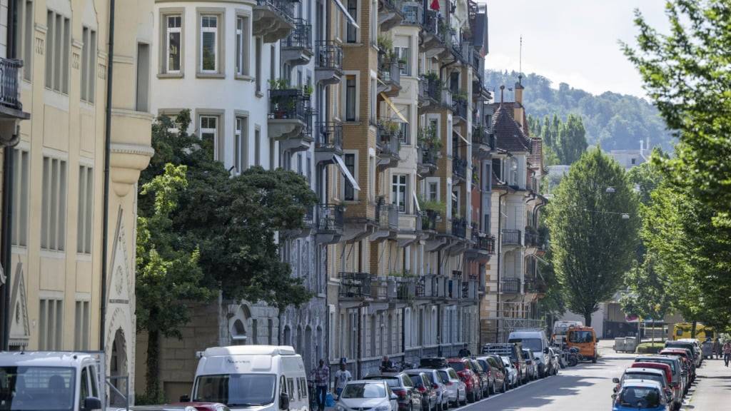 Der Luzerner Stadtrat will mit seinem Gegenvorschlag zu einer Volksinitiative der Jungen Grünen das Bruchquartier zu einem «Muster-Klimaquartier» machen. (Archivbild)
