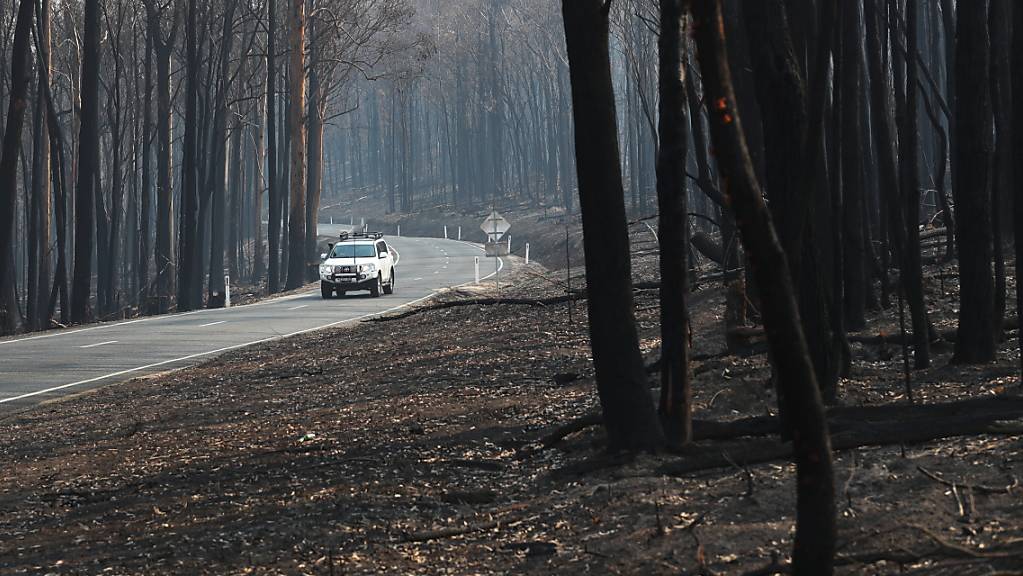 Zahlreiche Buschfeuer haben in den letzten Monaten im Südosten Australiens gewütet. Die Regierung des Bundesstaates New South Wales lässt die Brände und deren Hintergrund nun untersuchen. (Archivbild)
