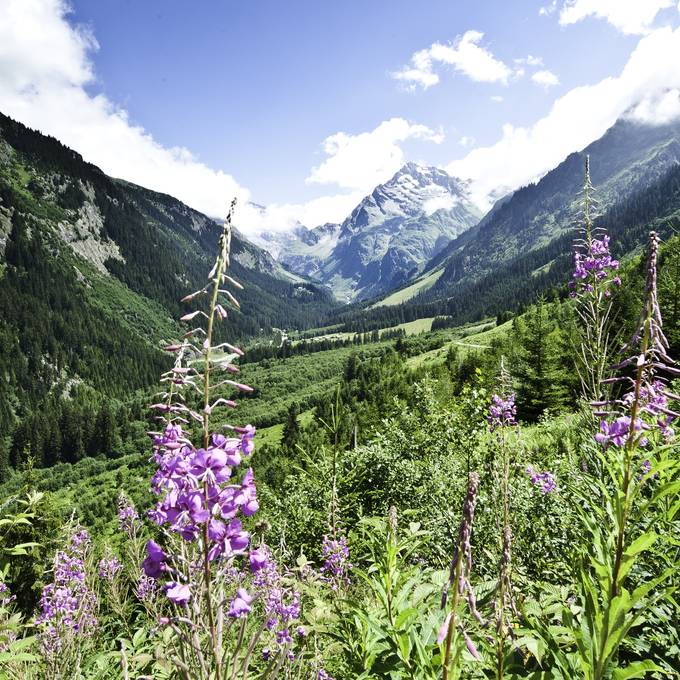 Maderanertal: Für Wandervögel