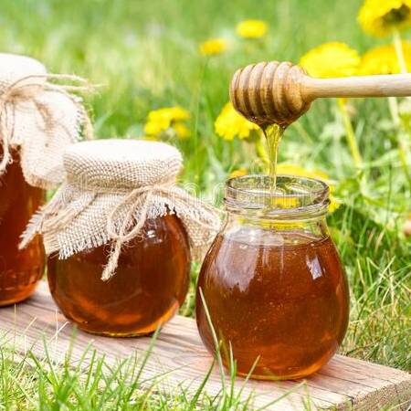 Honig mal anders – aus Löwenzahn, Gänseblümchen oder Tannenschösslig