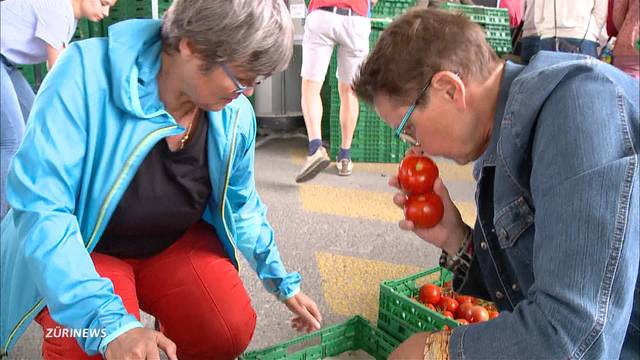 Anti-Foodwaste-Aktion für 30 Tonnen Tomaten voller Erfolg