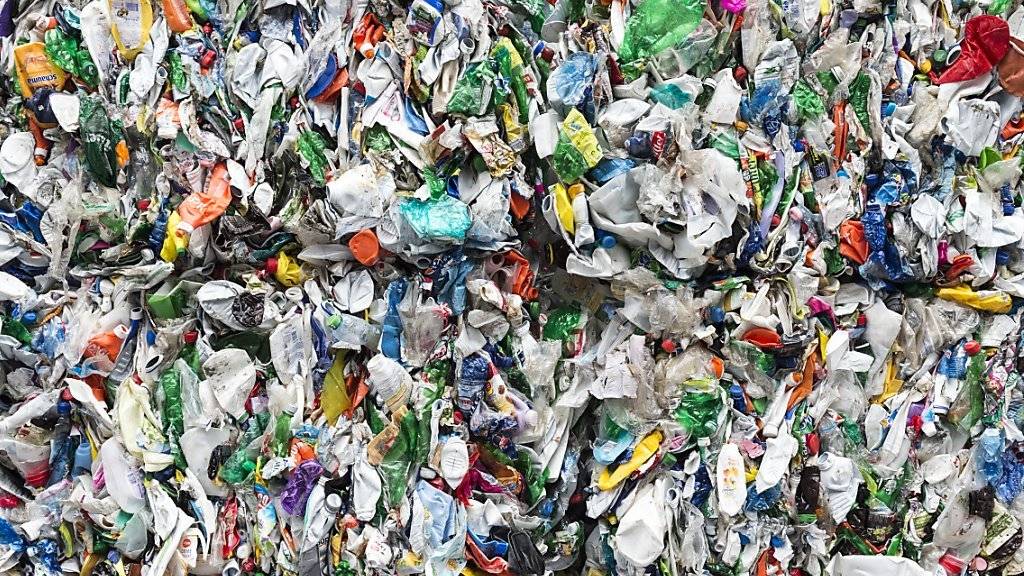 Nur ein geringer Teil des zum Beispiel in Plastikflaschen verwendeten PET wird recycelt, der Rest landet in der Umwelt. Dort braucht es 450 Jahre bis eine PET-Flasche zersetzt ist. Schneller ginge es mit dem neu entdeckten Bakterium. (Archiv)