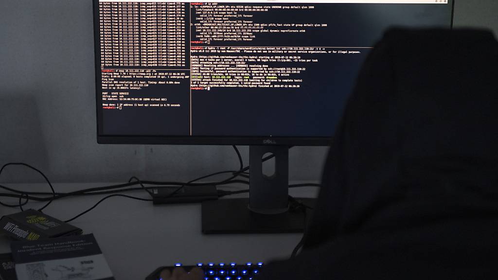 Am Sonntagmorgen kam es zu einem DDOS-Angriff auf einen Ostschweizer Website-Anbieter.