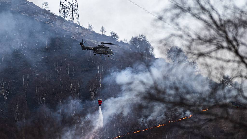 Löscharbeiten nach Waldbrand am Monte Gambarogno eingestellt