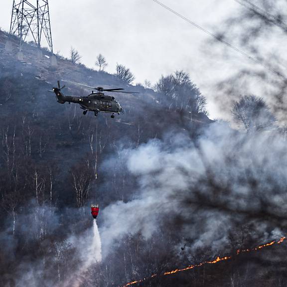 Löscharbeiten nach Waldbrand am Monte Gambarogno eingestellt