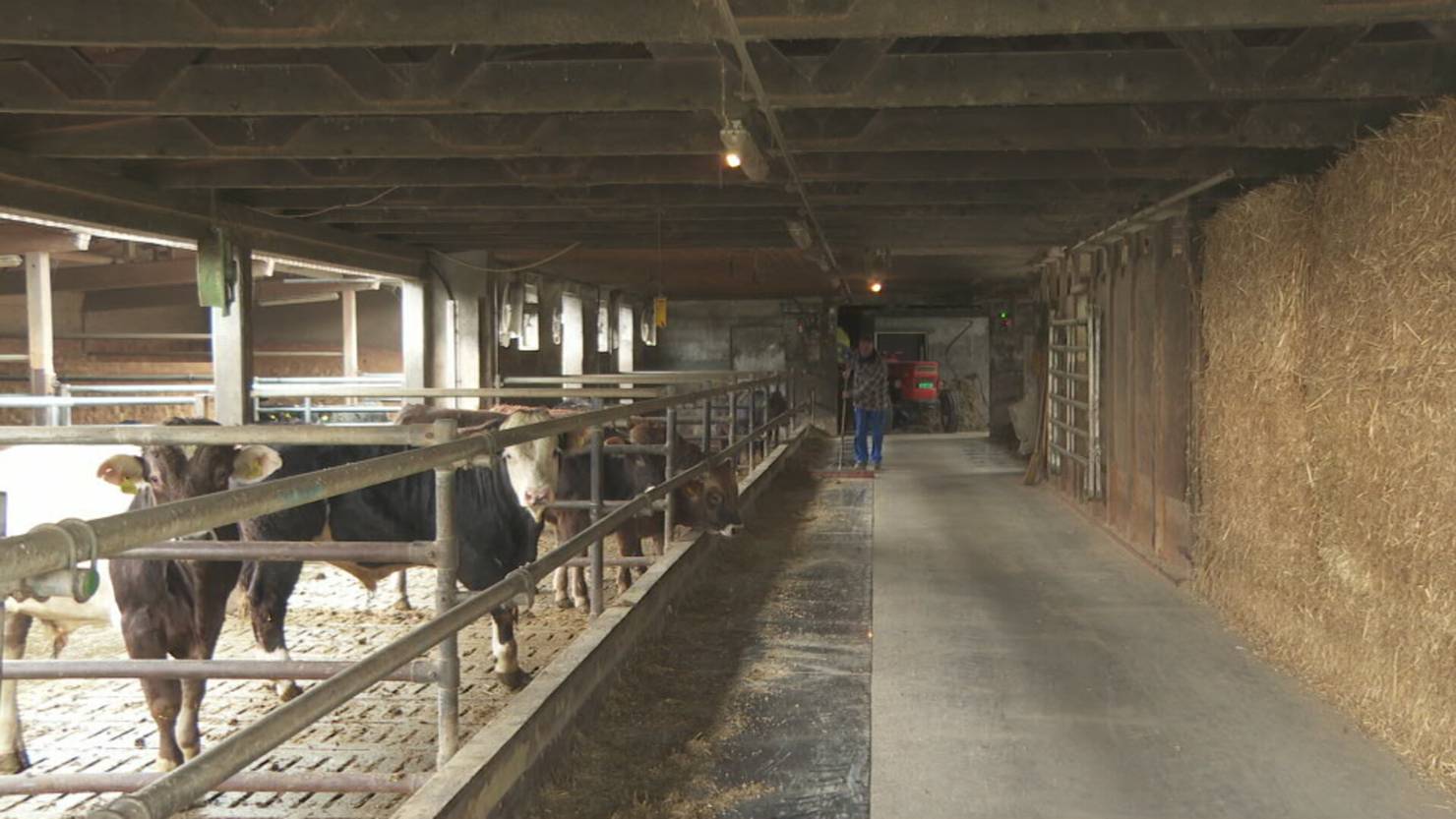 Wil West: Neuer Schub für Megaprojekt spaltet die Region | TVO Online