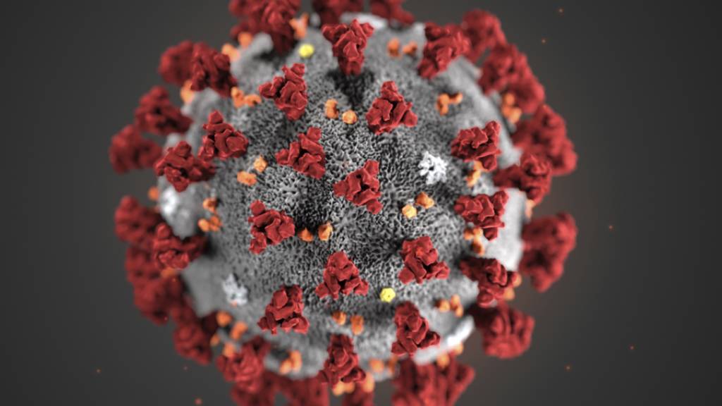Die Zahl der definitiv bestätigten Coronavirus-Fälle in der Schweiz ist innerhalb der letzten 24 Stunden um ein Viertel gestiegen.