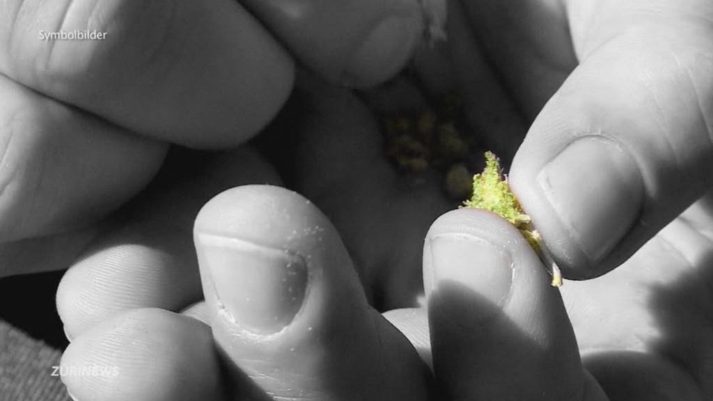 Zürcher Schwarzmarkt gerät wegen Cannabis-Studie unter Druck