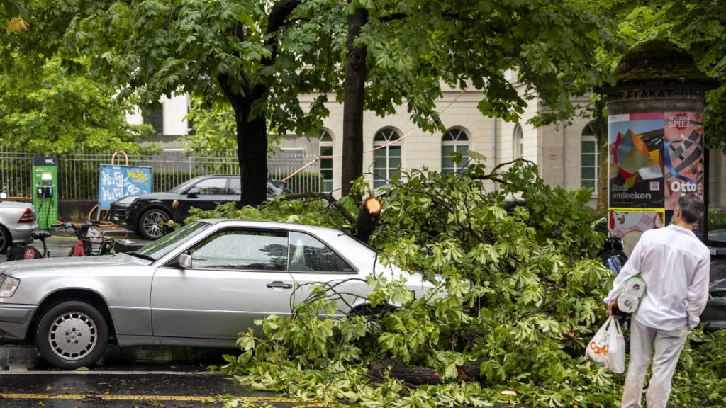 Heftige Gewitter: Verletzte durch umstürzende Bäume in Zürich