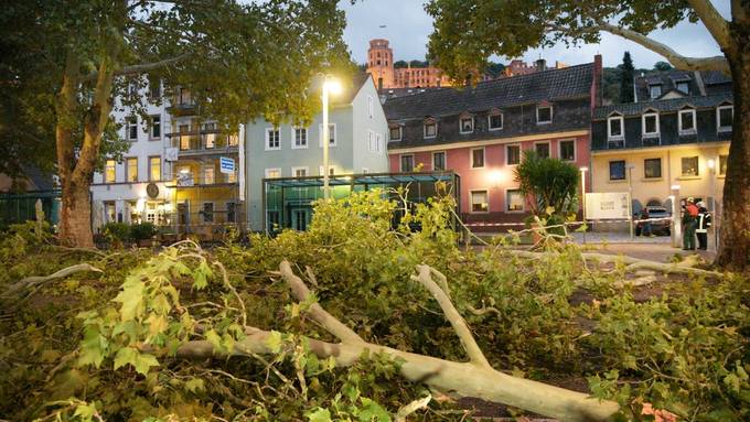 Fast 40 Einsätze wegen «Fabienne»