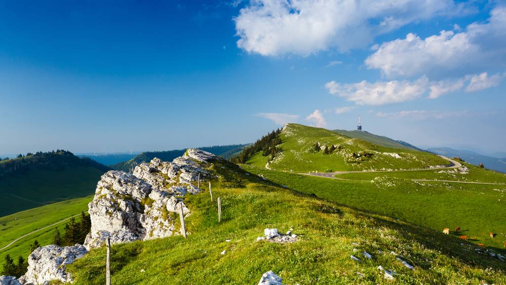 Das Panorama über die Dreiseenlandschaft und das Mittelland bis zu den Alpen ist grandios. 