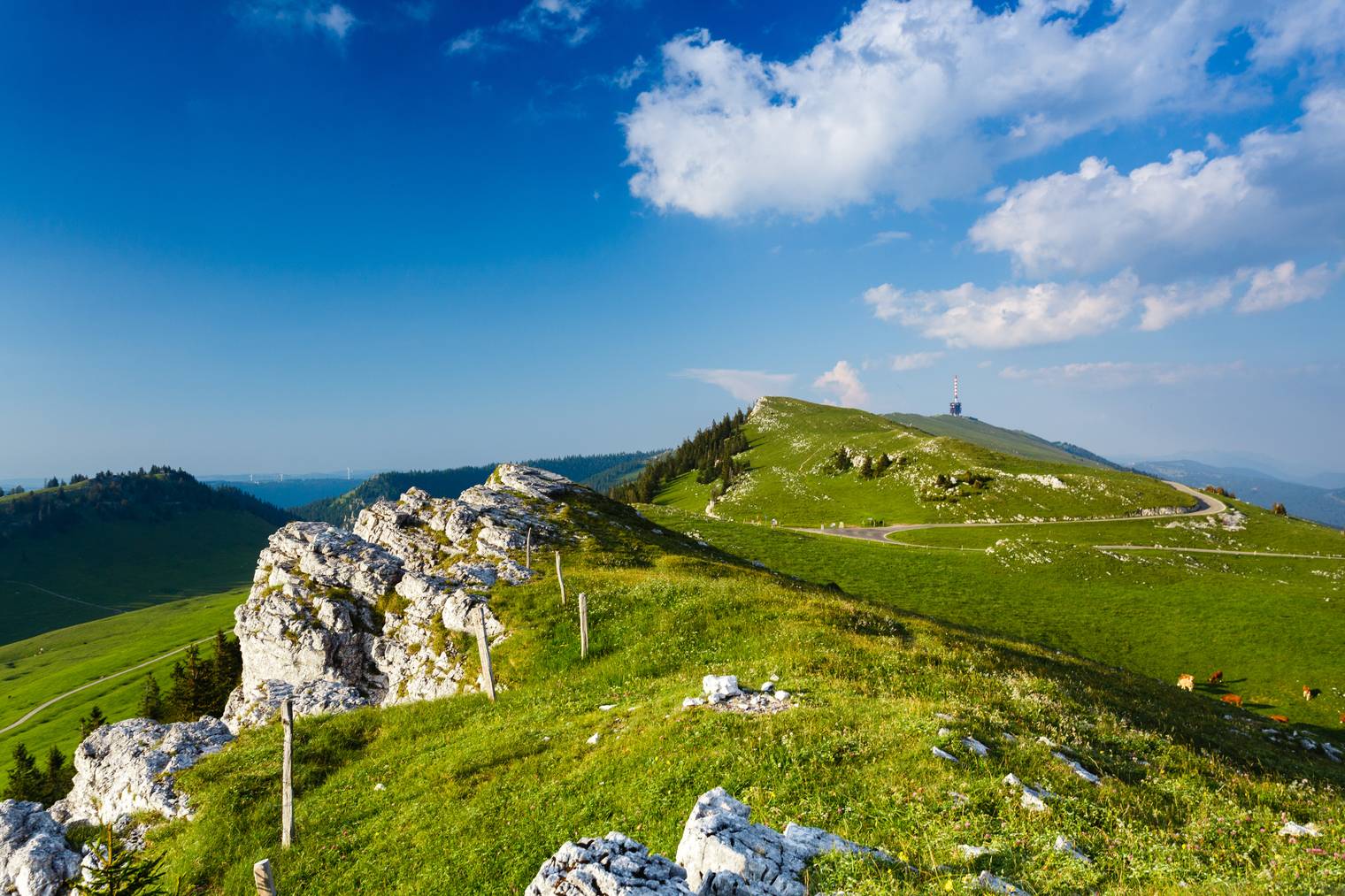 Das Panorama über die Dreiseenlandschaft und das Mittelland bis zu den Alpen ist grandios. 