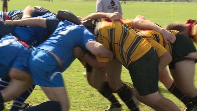 Weltweit schauen 3 Milliarden die Rugby-WM