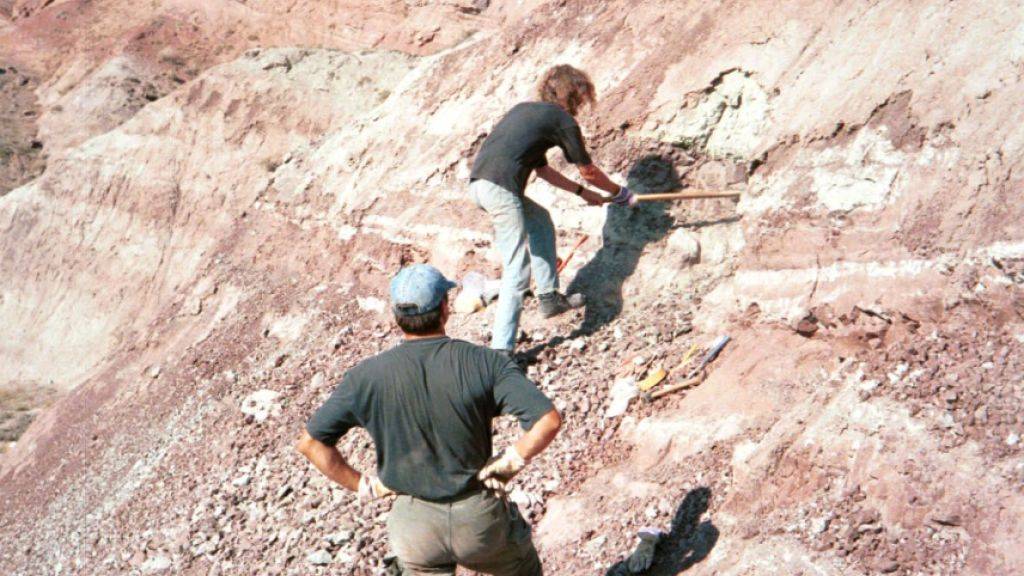 Grabung im Junggar-Becken in Nordwest-China im Jahr 2001: Fundstelle des Dinosaurierknochens mit Bissspuren. (Andreas Matzke, Uni Tübingen)