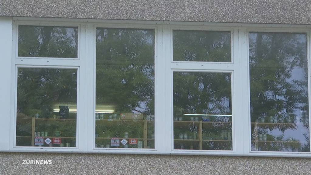 Wieder Einbruch in Waffengeschäft – Täter in Höri erwischt