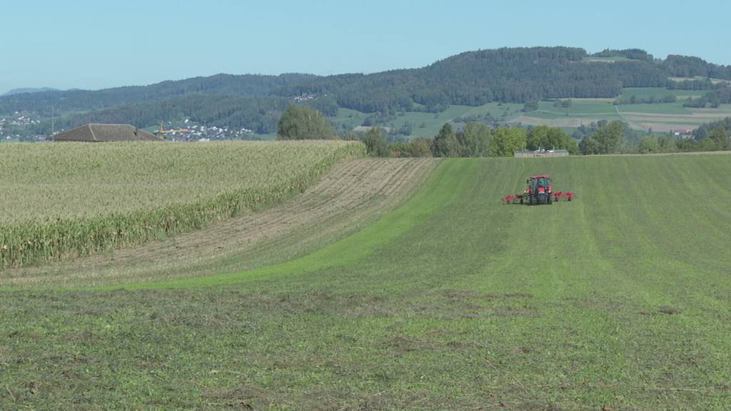 Im Kampf gegen Lachgasemissionen – Kanton Luzern arbeitet eng mit Landwirten zusammen