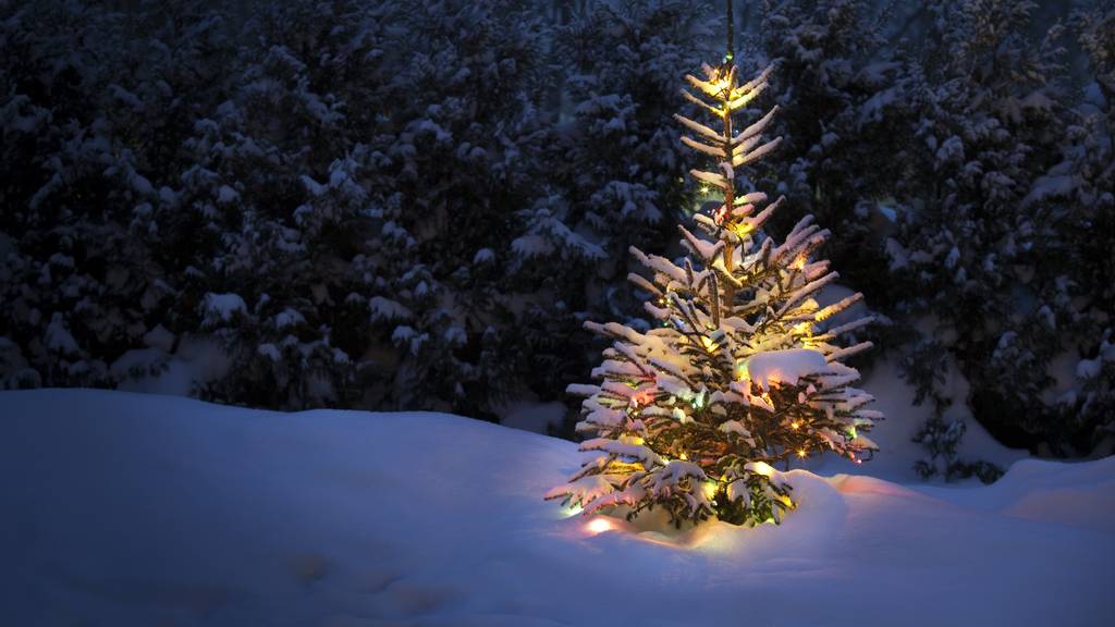 Viel Schnee und winterliche Stimmung, so stellen sich viele Weihnachten vor.