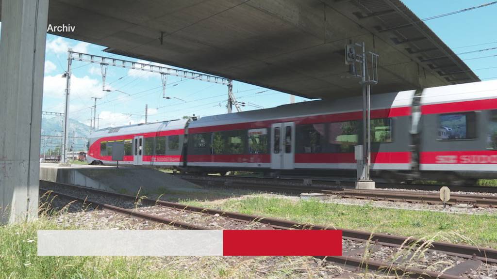 Kurznachrichten: Halbstundentakt, Mottbrand, Neugeborene