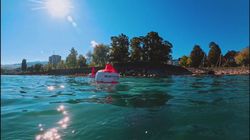 Kickboard, Bügeleisen, Einkaufswagen: Taucher holen zwei Tonnen Abfall aus dem Bodensee