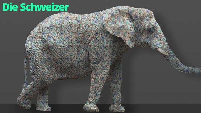 Europa-Initiative soll dem Bundesrat Beine machen