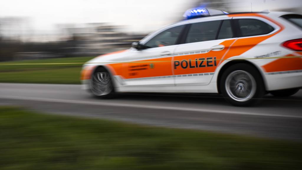 Mehrere Polizeipatrouillen suchten in der Nacht auf Montag nach den Einbrechern. (Archivbild)