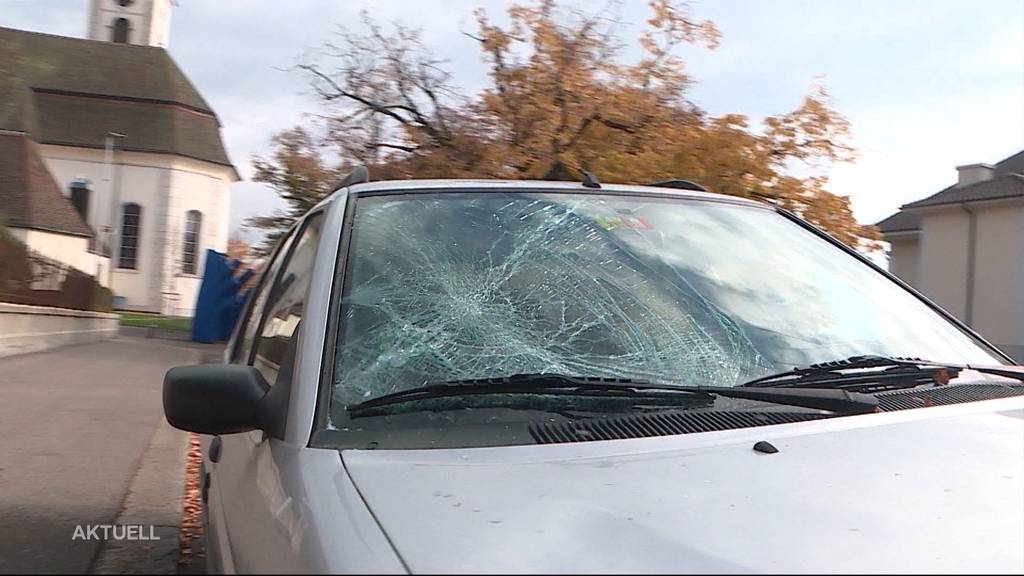 Auto in Grenchen demoliert