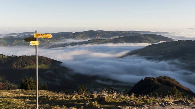 Landschaftsstruktur beeinflusst den Artenreichtum im Gebirge