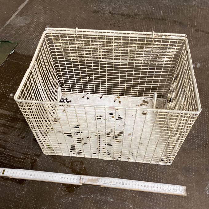 Fischer zieht Transportkäfig mit toter Katze aus der Aare