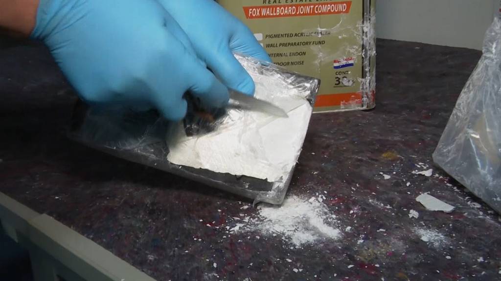 Hamburg: Zoll stellt 16 Tonnen Kokain sicher