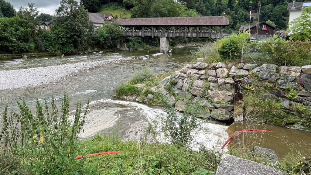 Einige hundert Fische starben wegen verschmutztem Bach in Ruswil