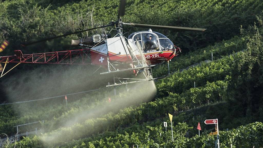 Pestizide mit den Wirkstoffen Chlorpyrifos und Chlorpyrifos-methyl sollen künftig in der Landwirtschaft nicht mehr verwendet werden dürfen. (Archivbild)