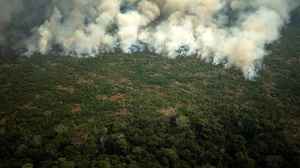 Brasilien setzt nach internationaler Kritik das Militär für die Brandbekämpfung im Amazonasgebiet ein.
