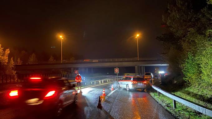 Festnahmen nach Verkehrskontrolle in Cham