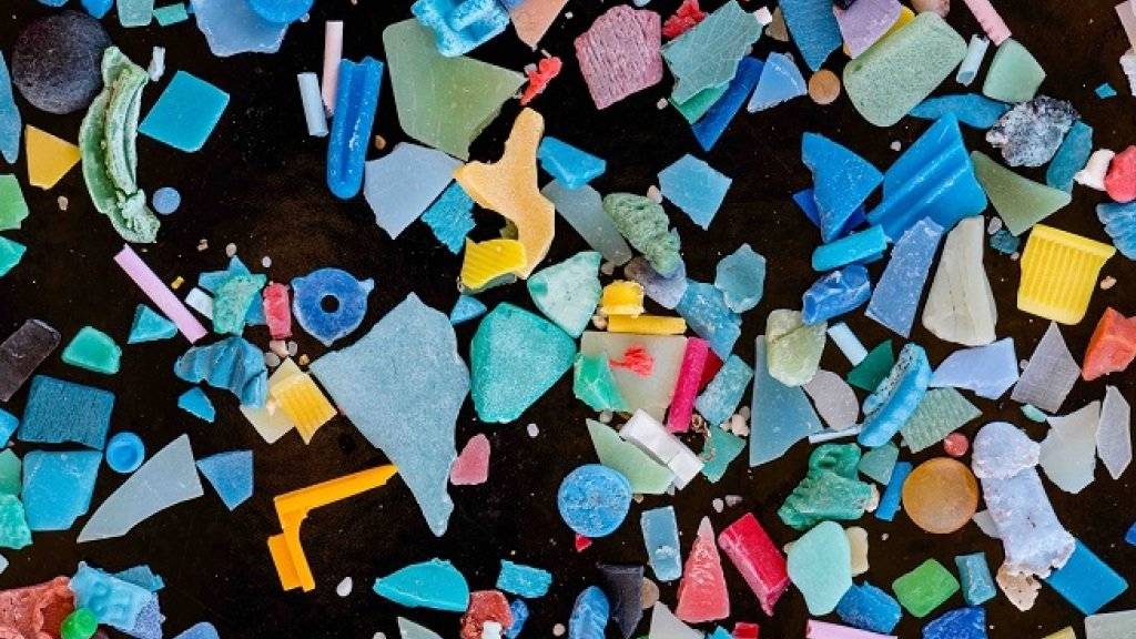 Beim Verwittern und durch Abrieb kann Plastik in winzige Teile zerbröckeln. So gelangt das Mikroplastik auch leicht in die Mägen von Fischen und anderen Organismen.
