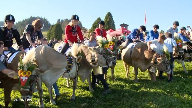 Kuhrennen in Flumserberg